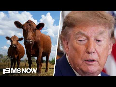 Trump's support among farmers has 'taken a hit': Cattleman's Pres. SPEAKS OUT on beef import plan