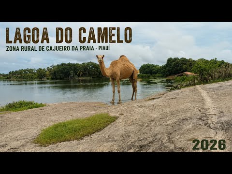 Lagoa do camelo na zona rural de cajueiro da praia da Piauí 2026