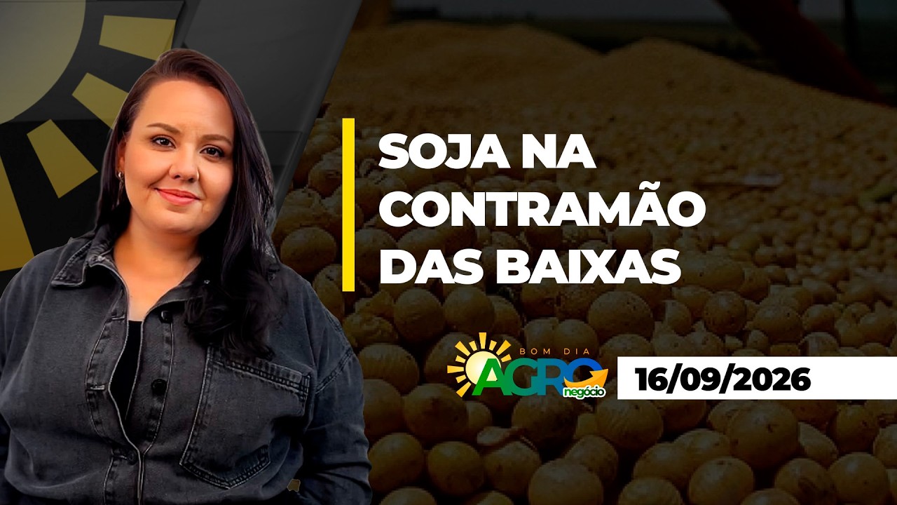 Bom Dia Agro - Soja sobe em Chicago, enquanto agrícolas recuam