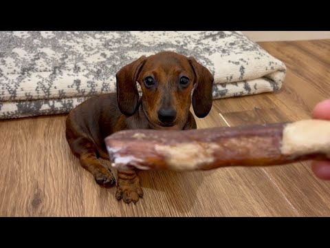 YouTube 썸네일