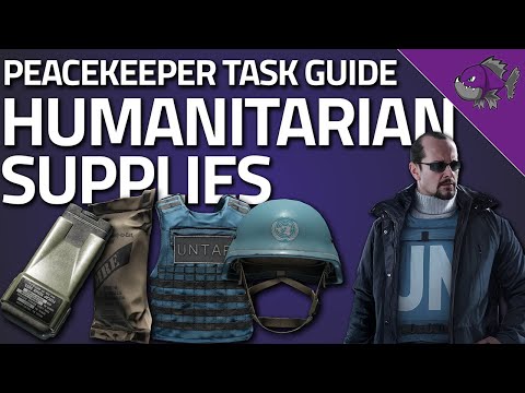 Humanitarian Supplies - Peacekeeper Task Guide - Escape From Tarkov