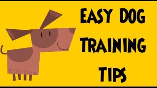 preview picture of video 'Easy Dog Training Tips'