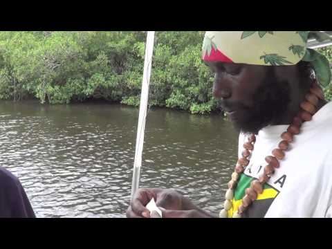 SNOOK FISHING IN NEGRIL JAMAICA