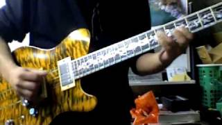 The Allman Brothers Band In Memory Of Elizabeth Reed Duane Solo Cover