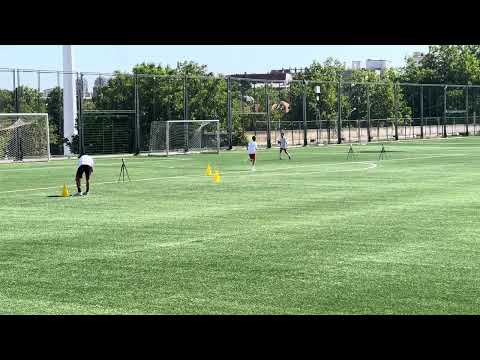 Minijatura videozapisa