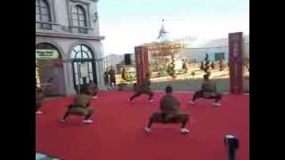 少林功夫表演 集体镇山棍