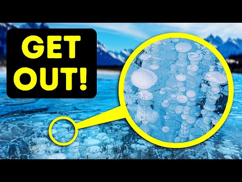 If You See Bubbles in a Lake, You Have Only Seconds to Escape!