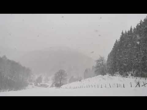 Starker Schneeschauer am 7. April 2021