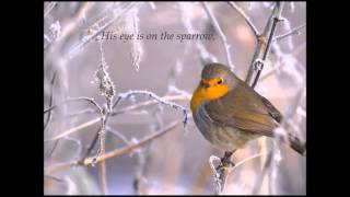 His Eye Is On The Sparrow - Dr. Kevin Jefferson