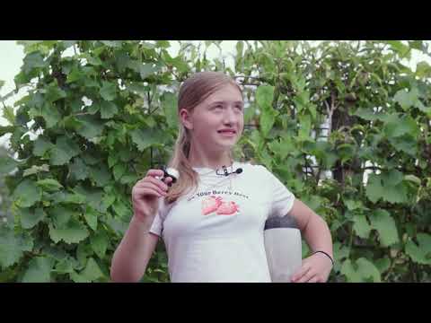 Le pigeon Belge: Nouveaux Talents Emma Govaerts.