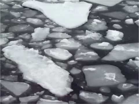 Waves (swell) in Arctic sea ice