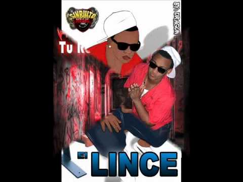 el lince el mario es palomo