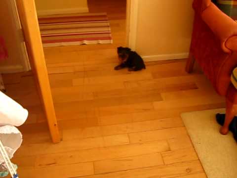 Daisy się złości :)