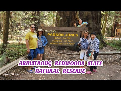 Armstrong Redwoods is one of the places to find the oldest and tallest trees in California 