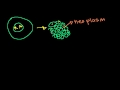 Cancer: Broken DNA Replication Video Tutorial