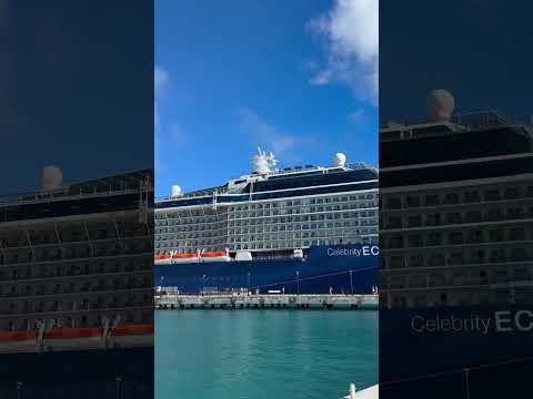 Thumbnail for The Goat of the Sea Celebrity Eclipse Today in Bermuda Triangle #viral #shorts #youtube #cruise #fyp