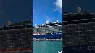 The Goat of the Sea Celebrity Eclipse Today in Bermuda Triangle #viral #shorts #youtube #cruise #fyp
