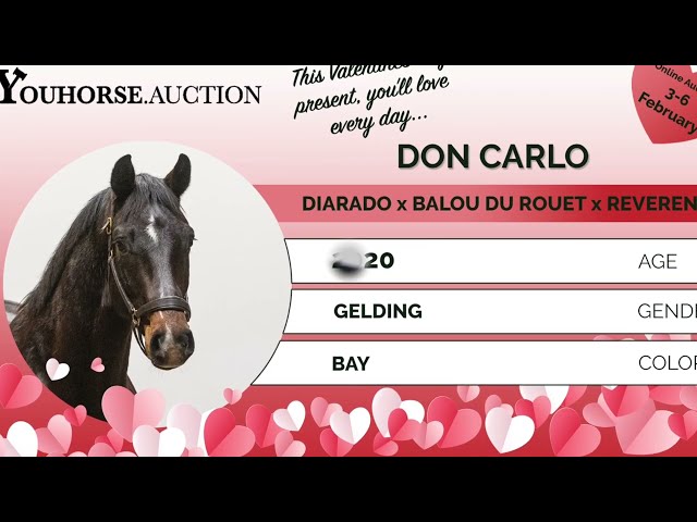 Don Carlo