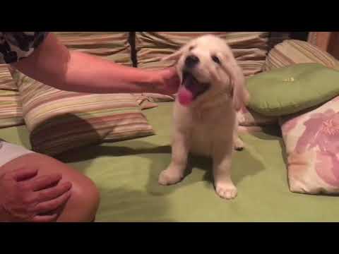 Charlie showing his sweet and gentle disposition!!!