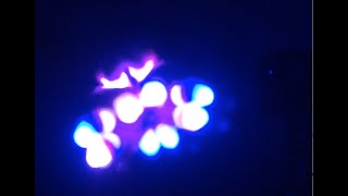 [LB] Zeds Dead- Blink (feat.Perry Farrell)