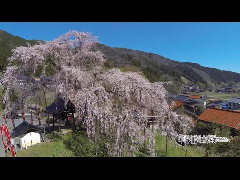 Wow! Shinonsen Town【韓国語（ハングル）】