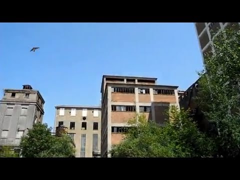 LOST PLACES: Phrix-Gelände - Alte Zellulosefabrik (Urban Exploration)