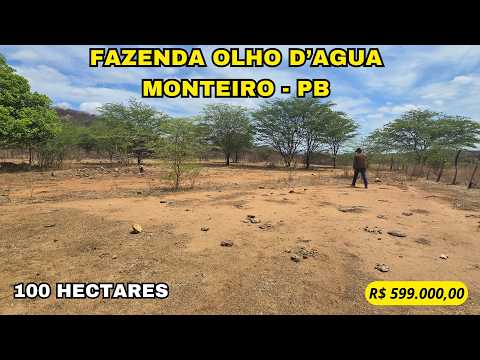 🌾 FAZENDA OLHO D'AGUA – POTENCIAL PARA PECUÁRIA E CHACREAMENTO A APENAS 5,5 KM DA CIDADE 🌾
