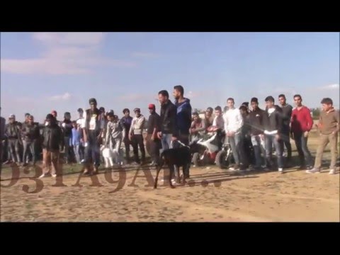 Wess feat Siki Fou  2016 ✪ ✪معتقل ✪ ✪ Mo3ta9al