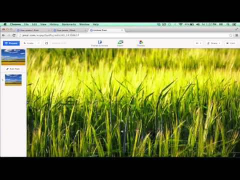 Beginner s Guide to Microsoft OneNote Online