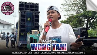 Download lagu WONG TANI | RISKI ~ RUNDA PUTRA ONE‼️DESA TULUNGAGUNG KERTASEMAYA INDRAMAYU 2026 mp3 Download lagu WONG TANI | RISKI ~ RUNDA PUTRA ONE‼️DESA TULUNGAGUNG KERTASEMAYA INDRAMAYU 2026 mp3
