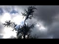 Mazha Njan Arinjirunnilla Mp4