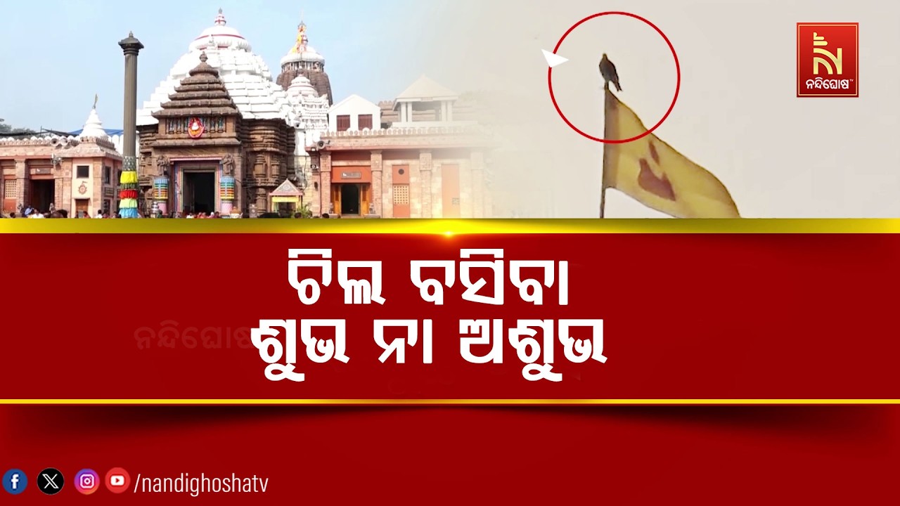 ଶ୍ରୀମନ୍ଦିର ଉପରେ ବାରମ୍ବାର ଚିଲ ଉଡିବା ଓ ବସିବା ଶୁଭ ନା ଅଶ?