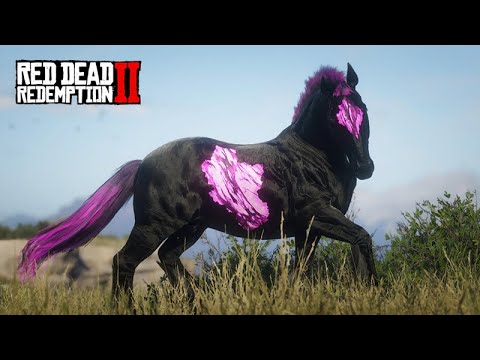 Domando o CAVALO COMETA - CHAROITE  -  O Colecionador de Cavalos  -  ep 26