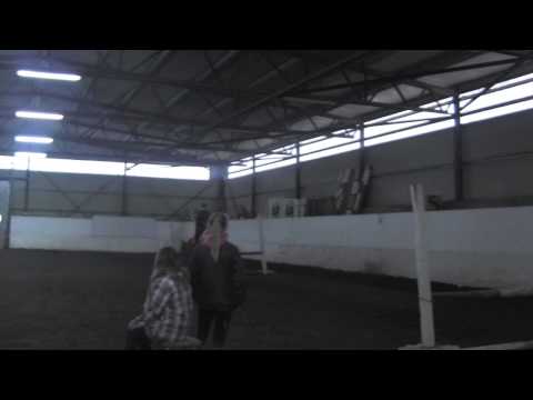 Kat 2 ponni selges -  Super esse