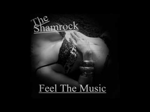 One Hour Club Mix By DJ Shamrock (part 2 of 6) (House Music, Club Mix) HD