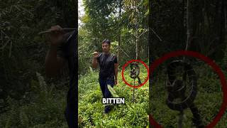 He’s Immune to Deadly Snake Venom 🐍