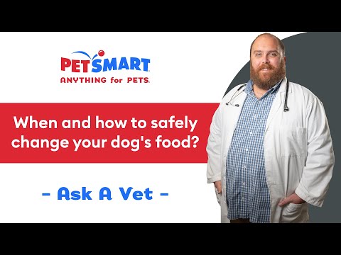 When and How to Safely Change Your Dog’s Food | PetSmart Veterinary Services