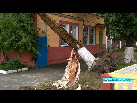 Последствия стихии ликвидируются в Гомельской области видео