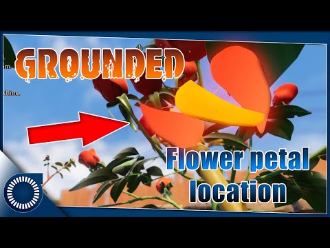 GROUNDED | Where to easily find Flower petals