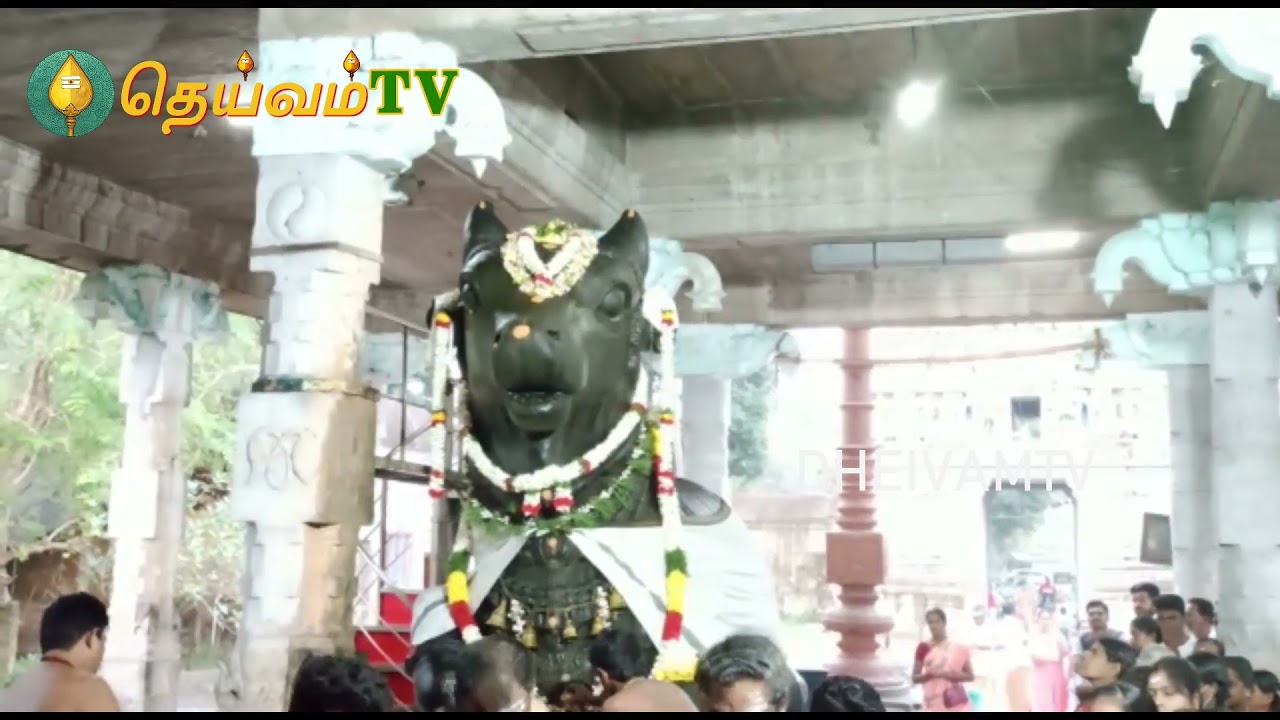 அருள்மிகு ஸ்ரீ சிவலோக நாதசுவாமி உடனுறை சொக்கநாயகி/சௌந்திரநாயகி அம்மா பிரதோஷ வழிபாடு