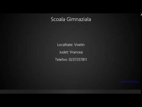 Scoala Gimnaziala Voetin