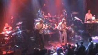 MANGROVE | City Of Darkness