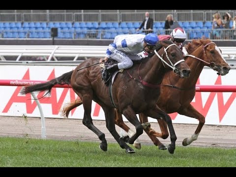 CARBINE CLUB STAKES-1 NOV FLEMINGTON