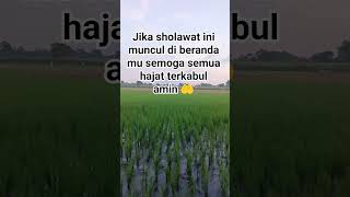 Download lagu jika sholawat ini muncul di beranda mu semoga semua hajat terkabul amin mp3