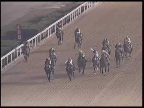 2019-02-22 Race 2(0158) - THE BRECHIN