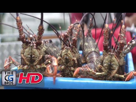 CGI 3D/VFX Spot: "Hunt: Hilux" - by AltVFX