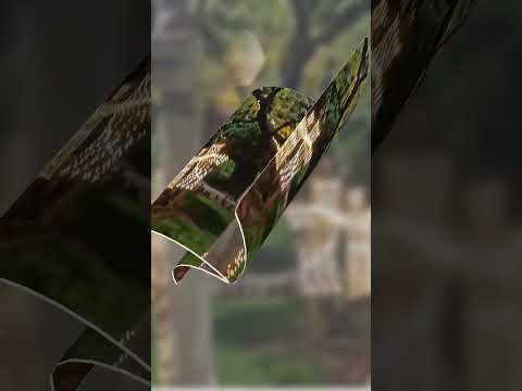 #lembranças #recordações #shorts #natal #planura #family #gratidão #lugarabencoado #minasgerais