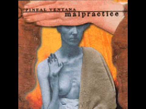 Pineal Ventana-The Hooded Mirror