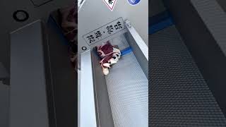 Perfect Meat Slicing Machine!