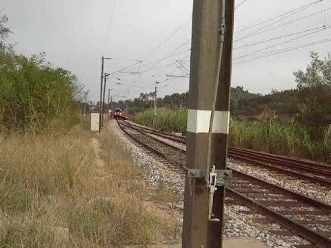 Regional 5624 Castelo Branco - Entroncamento